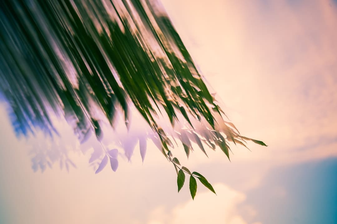 江西安远：青山绿水间畅享“生态游”
